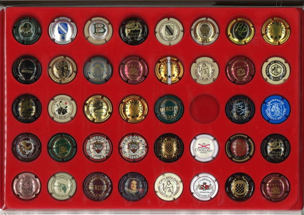 Plaque de 40 capsules